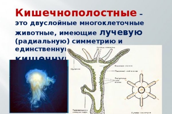 Кракен сайт 14