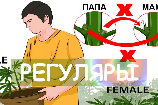 Рабочий кракен
